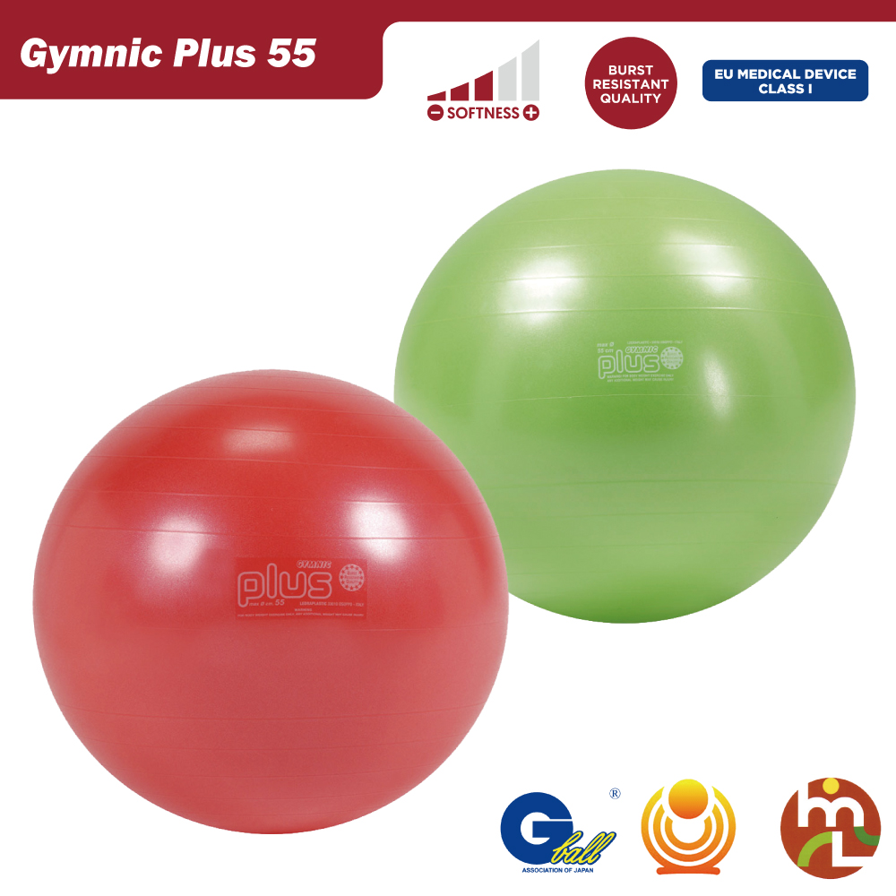 高級 バランスボール ギムニク Gymnic 23cm 2個セット ソフトギムニク Softgym Over 小さい ヨガボール 体幹 バランス  トレーニング エクササイズ